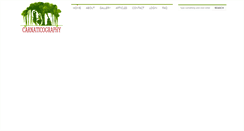 Desktop Screenshot of carnaticography.com